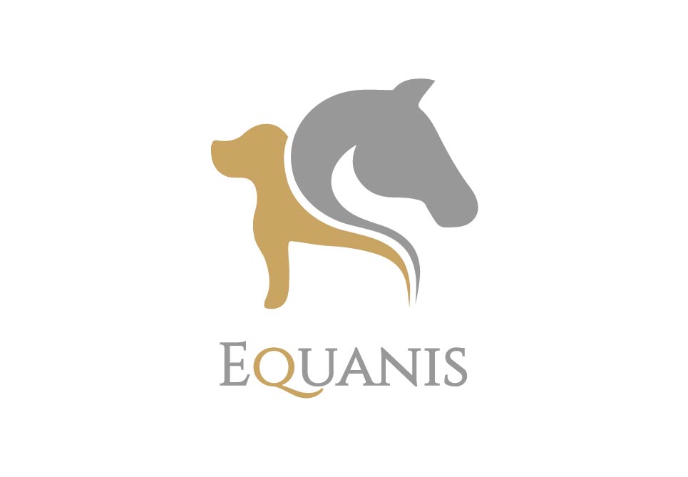 Equanis-Logo-1