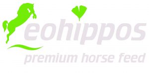 eohippos