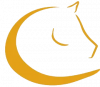 Gosert_Logo